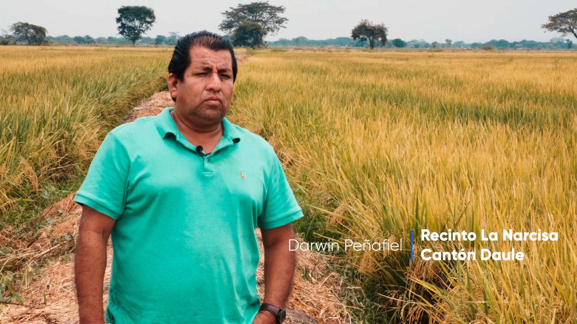 1Divixton - Darwin Peñafiel