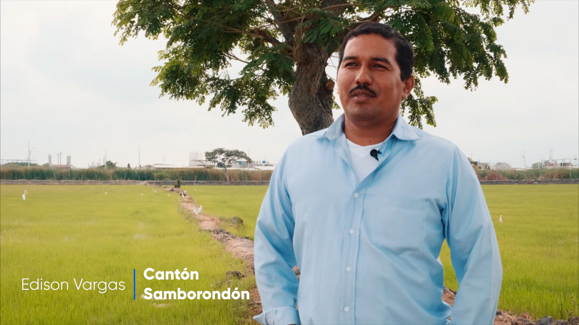 2Divixton - Edison Vargas