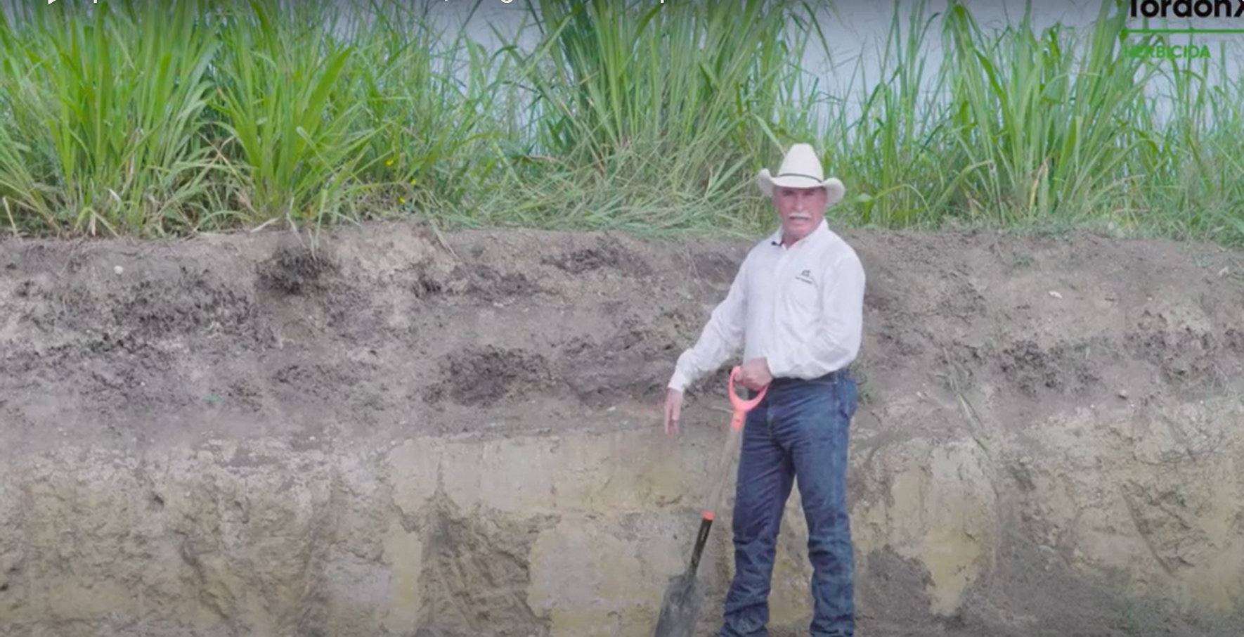 Episodio 5: Análisis de suelo | Pregúntale al experto