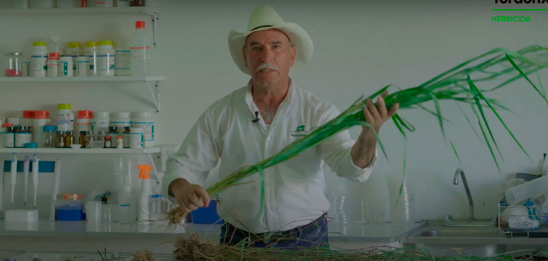 Episodio 11:  Anatomía, morfología