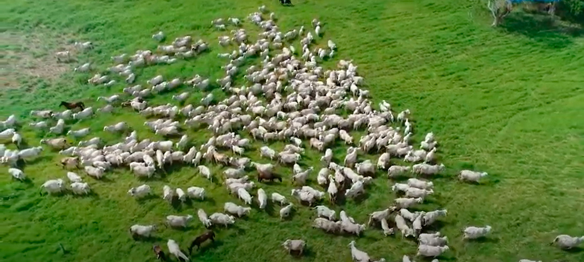 Episodio 4: Elaboración de climodiagramas | Pregúntale al experto