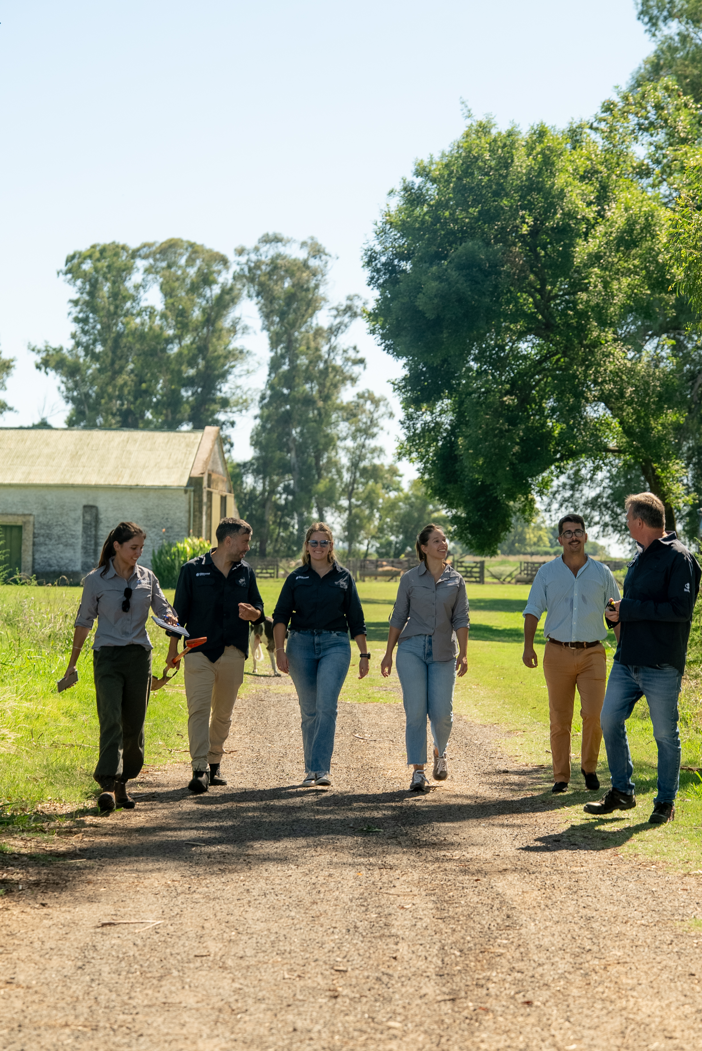 Team Walking