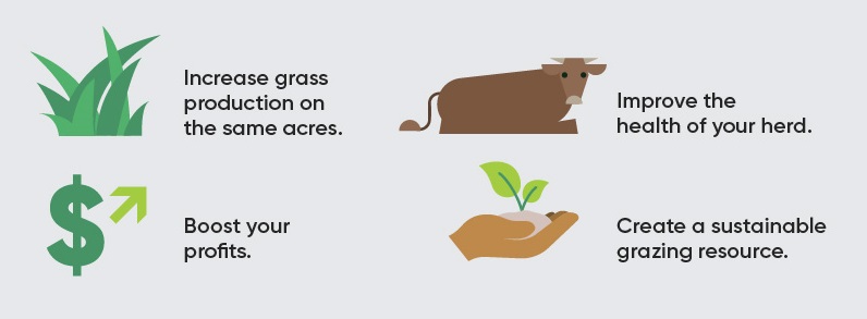 Increase grass production on the same acres, improve the health of your herd, boost your profits, create a sustainable grazing resource.