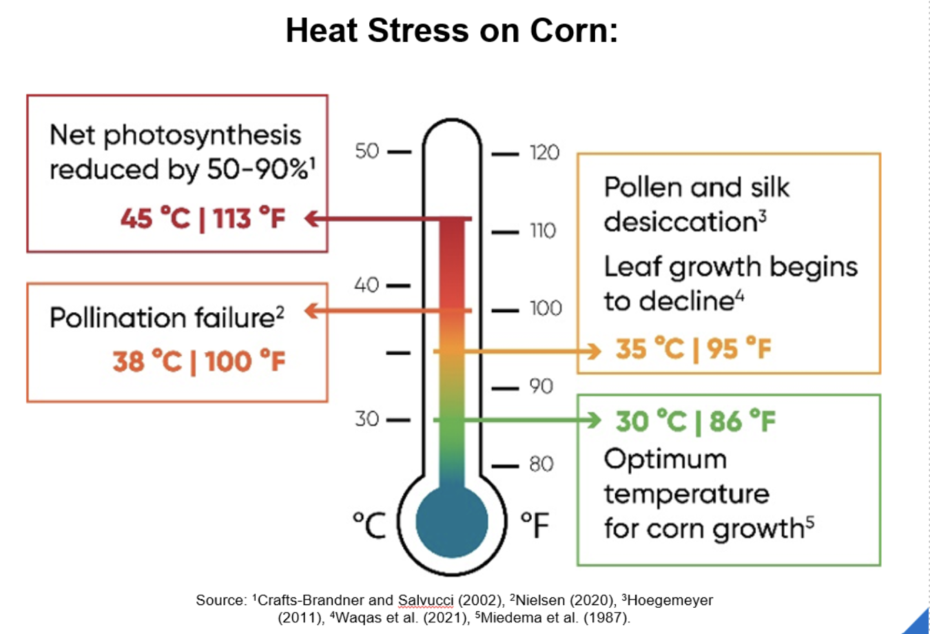 heat stress in corn indicators based on temperature