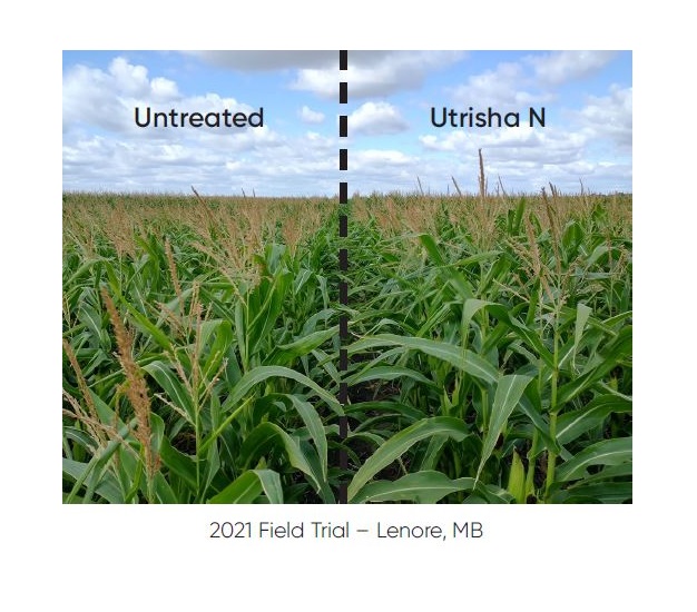 utrisha yield comparison
