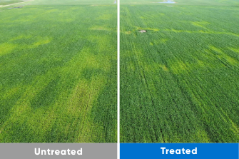 treated vs untreated with bio forge