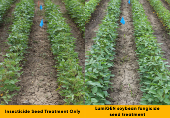 LumiGEN soybean seed treatments comparison