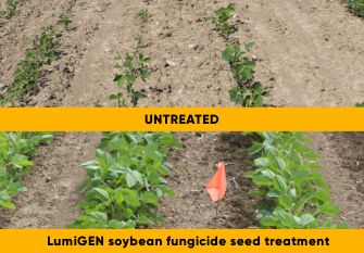 LumiGEN soybean seed treatments