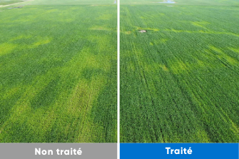 treated vs untreated with bio forge