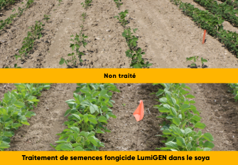 LumiGEN soybean comparison image