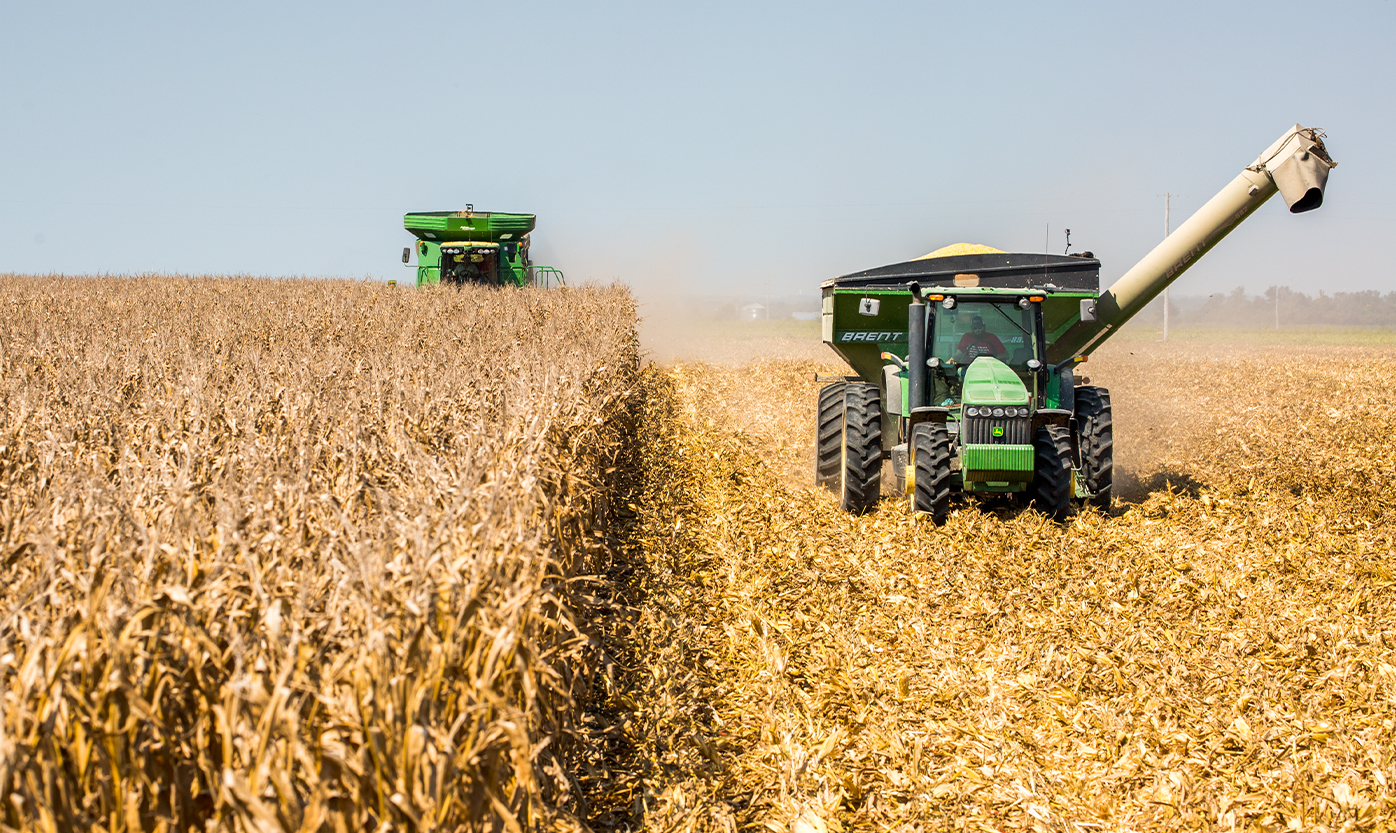 Podcast: Scouting During Harvest