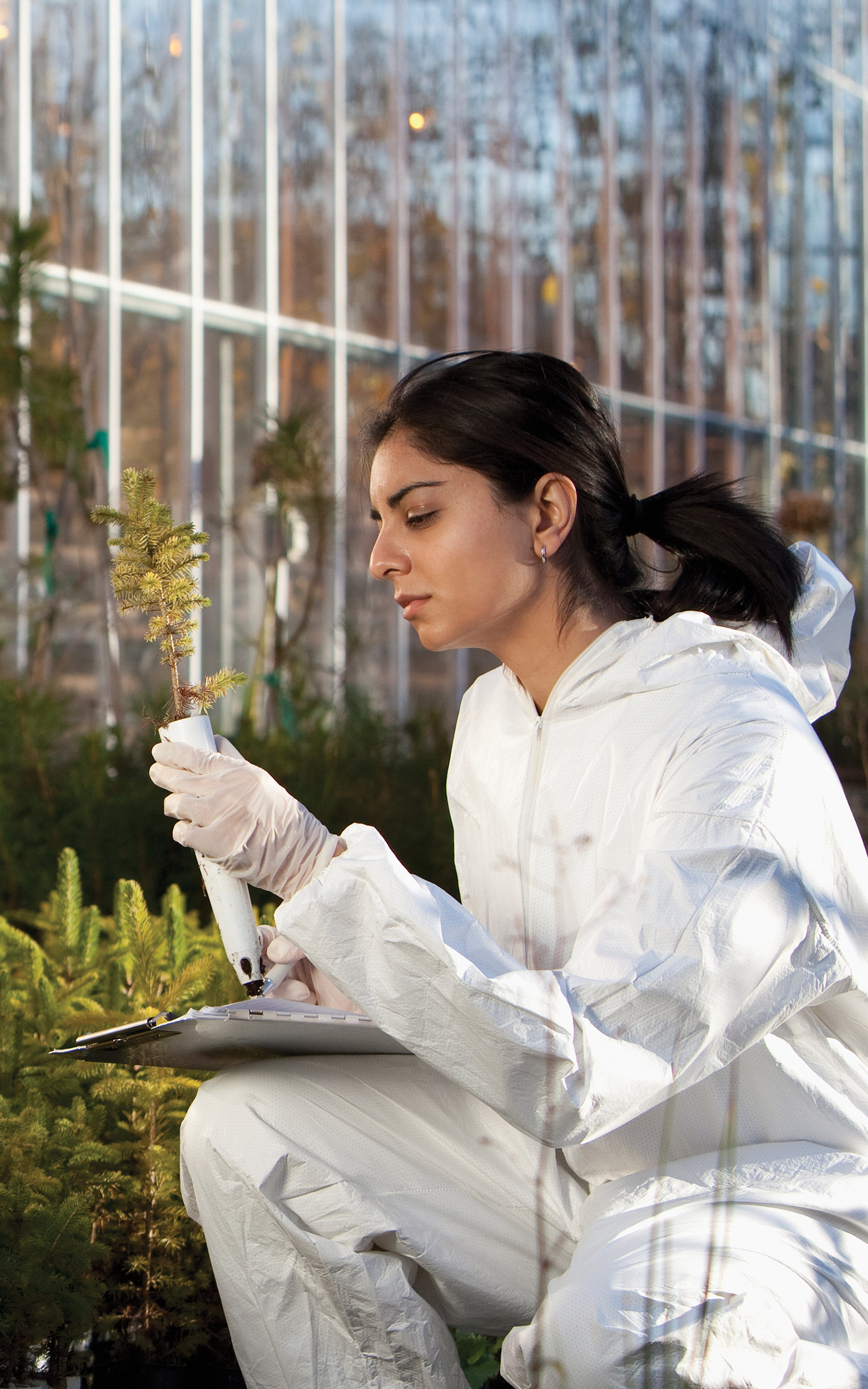 corteva genetics lab technician