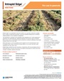 Intrepid Edge Insecticide fact sheet for peanuts