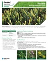 Quelex Fact Sheet