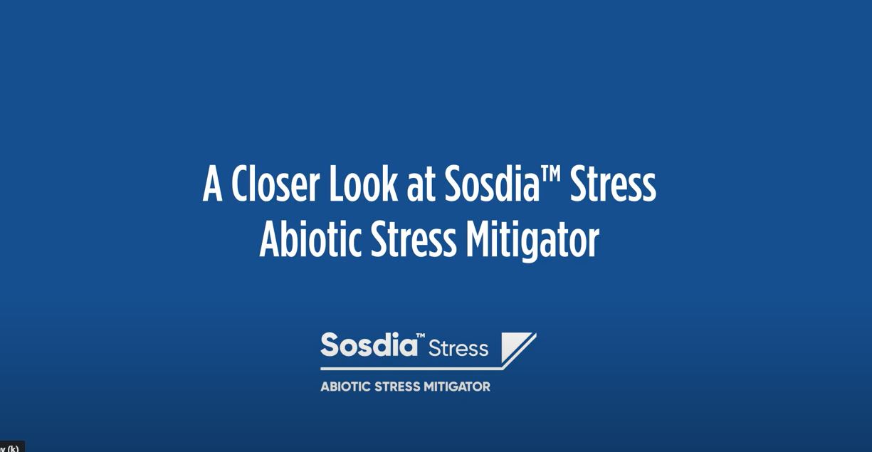 A Closer Look at Sosdia™ Stress Abiotic Stress Mitigator