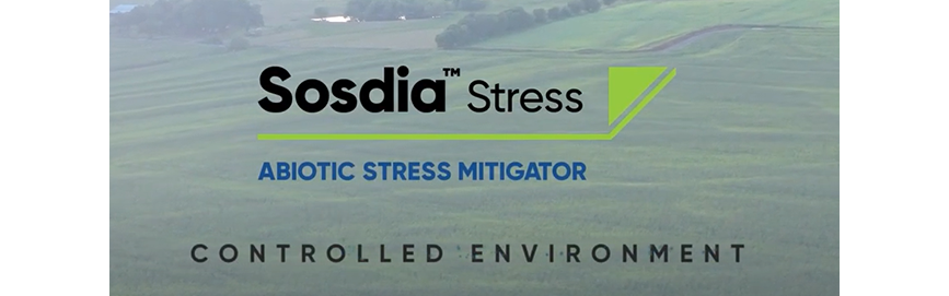 Watch Sosidia® Stress Abiotic Stress Mitigator Work