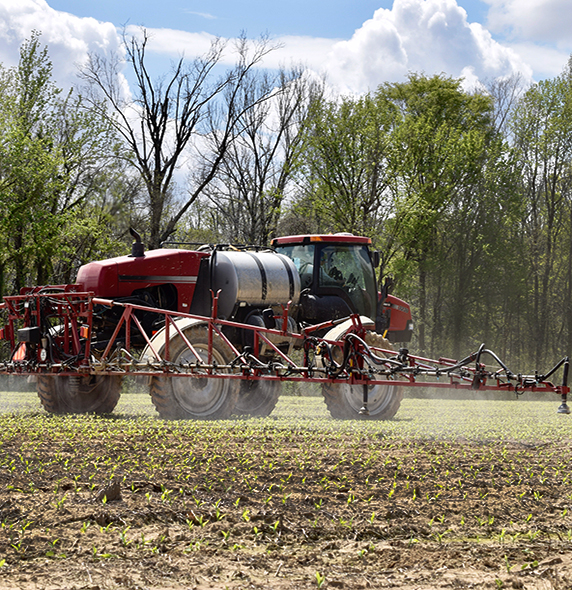 Early morning, Farmer walking in soybean field