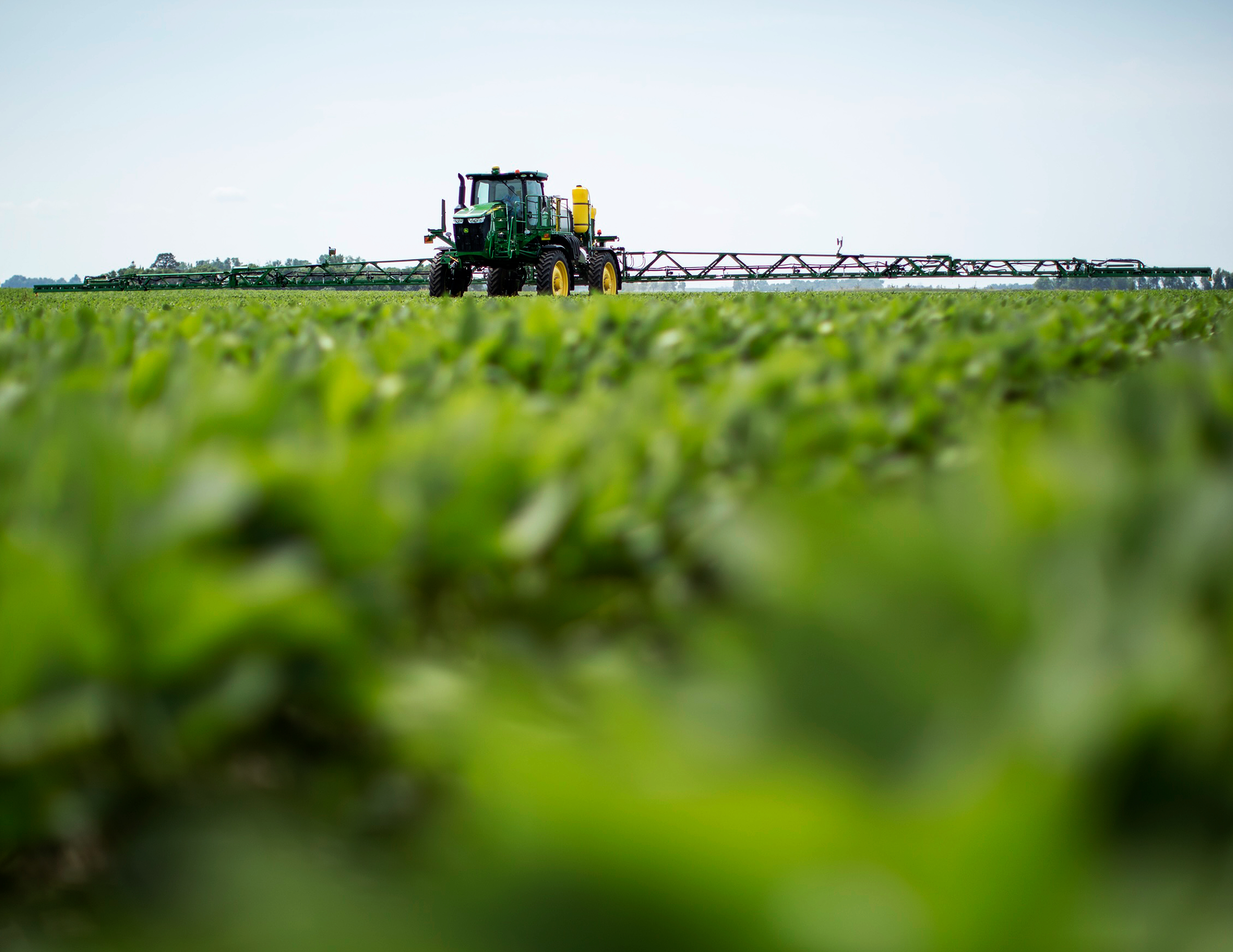 Sprayer healthy early soybeans ground view