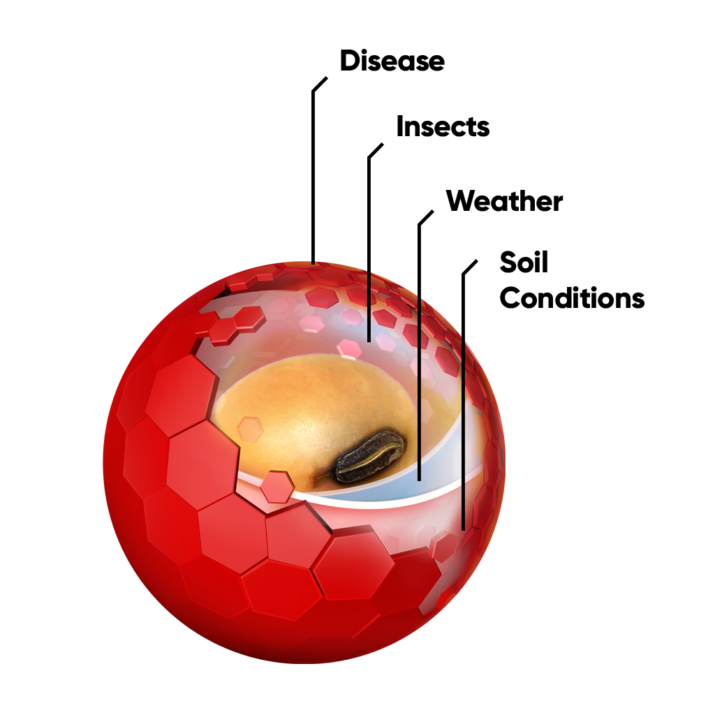 Corteva Soybean Seed Treatments