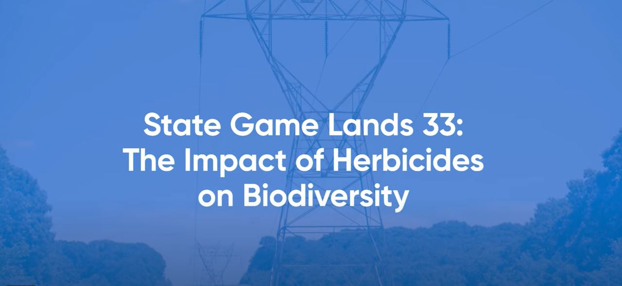 State Game Lands 33: The Impact of Herbicides on Biodiversity