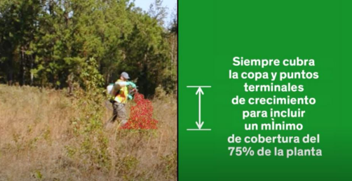 Cómo  Aplicaciones Foliares de Bajo Volumen