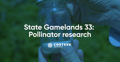 State Gamelands 33: Pollinator Research