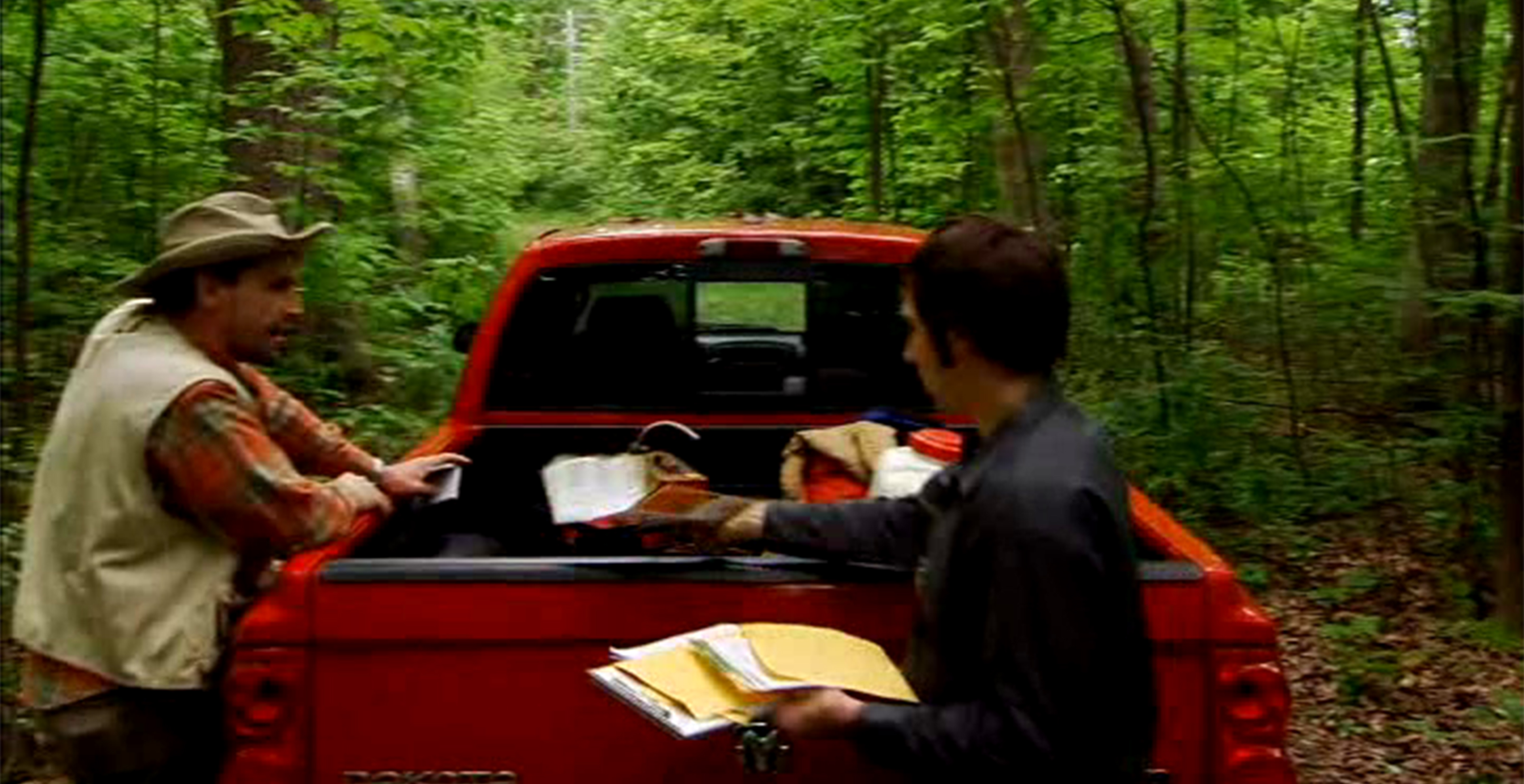 Handling Vegetation Management Concerns: Ineffective Response