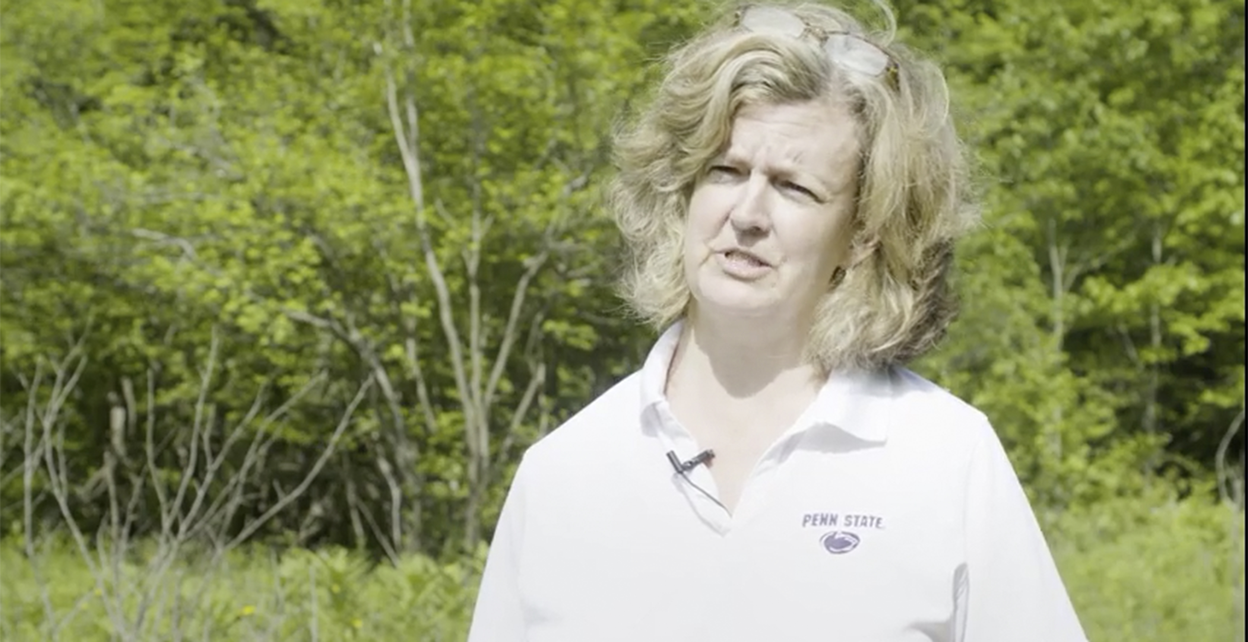 State Gamelands 33: a legacy of research