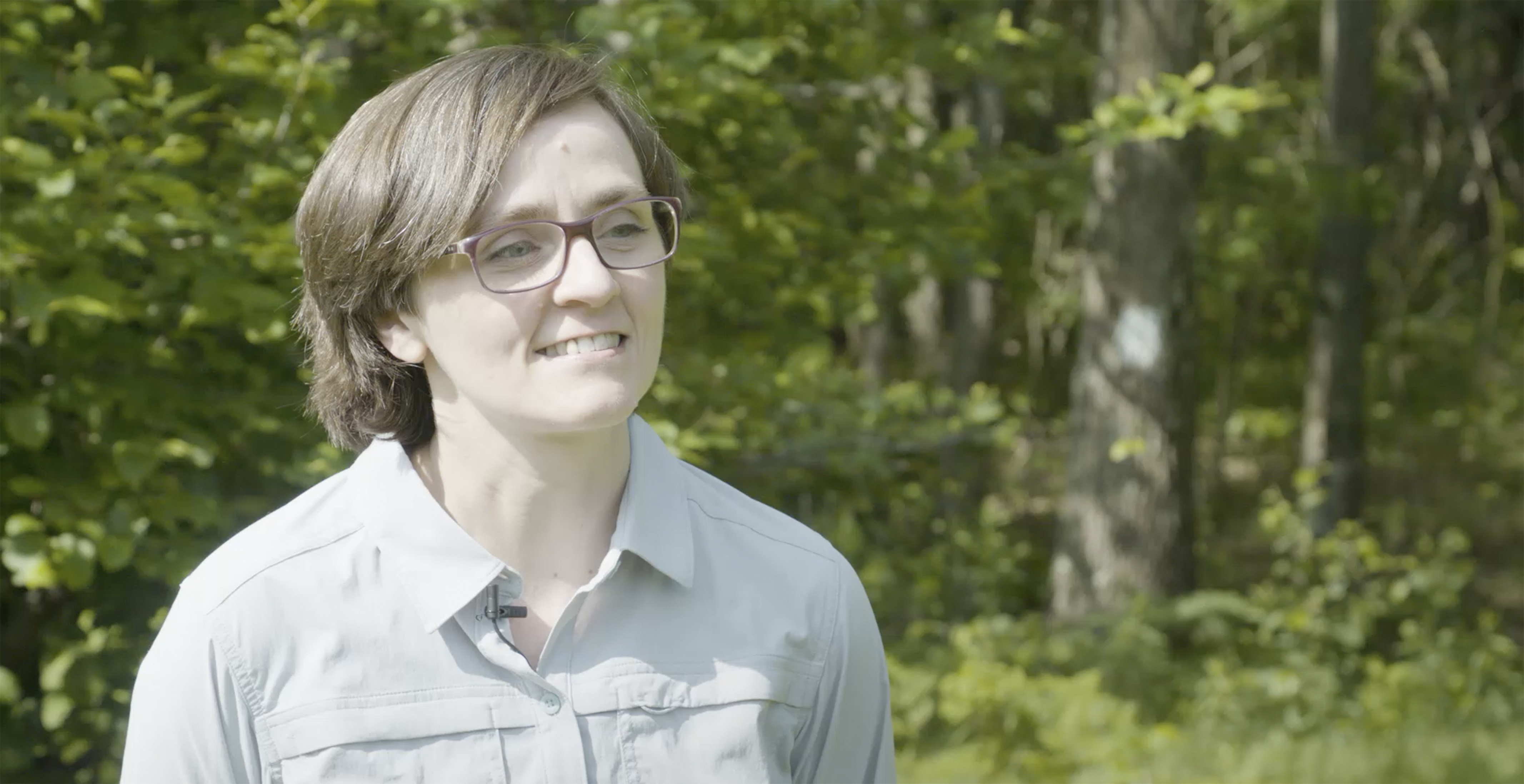 State Gamelands 33: pollinator research