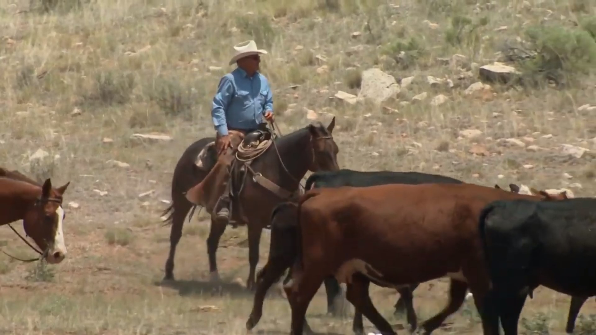 The Corteva Agriscience™ Commitment to ESAP