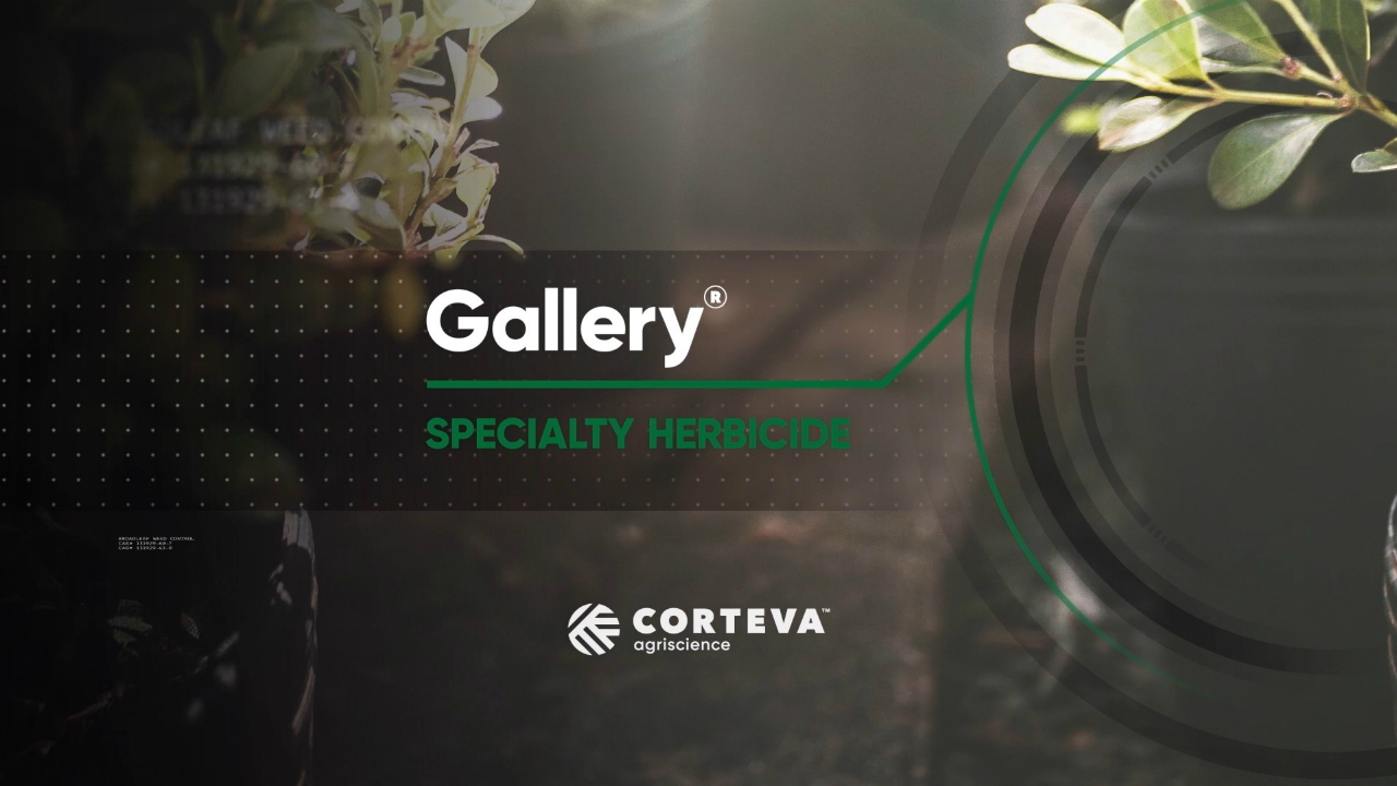Gallery specialty herbicide from Corteva Agriscience