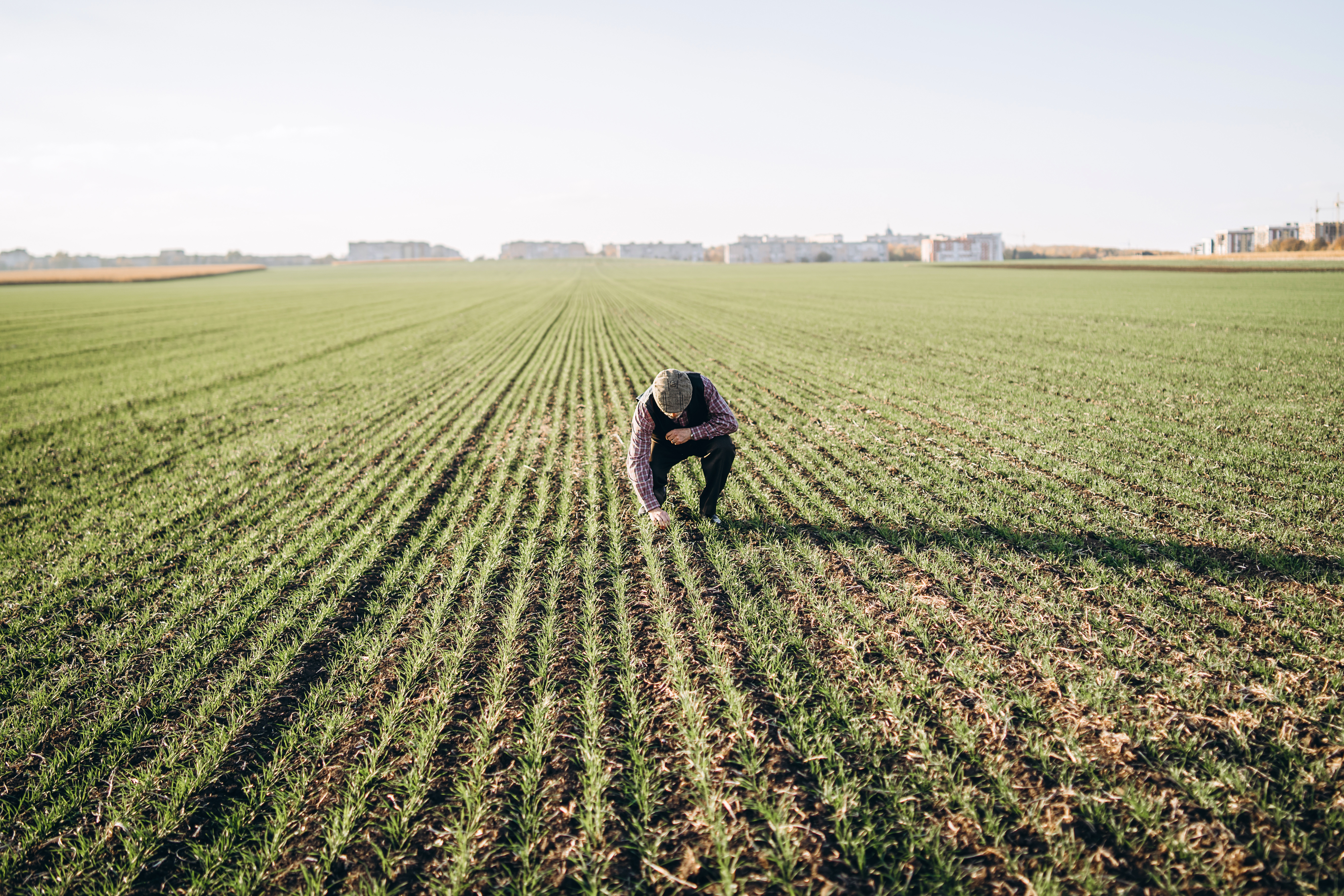 IMG-AdobeStock_261056990-Corteva-ZA-V1